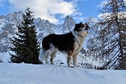 Invernale sui Monti Campione (2171 m) e Campioncino (2100 m) dai Campelli di Schilpario il 9 marzo 201  - FOTOGALLERY